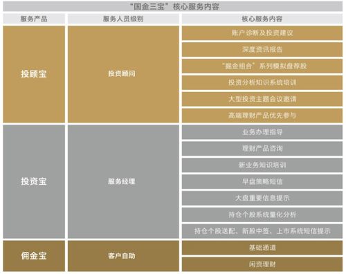 國(guó)金證券 以專業(yè)驅(qū)動(dòng)，讓金融服務(wù)更高效、更可靠